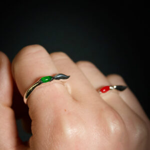 Nahaufnahme eines Rings aus silber