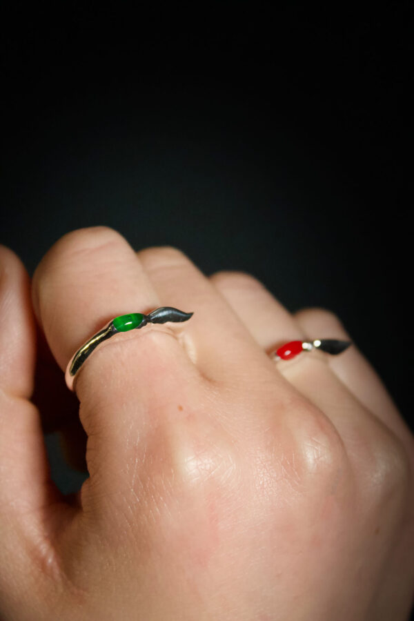 dunecolor-beide Nahaufnahme eines Rings aus silber